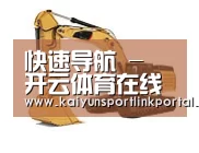 开云体育官网第四系列